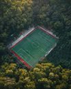 Soccer Pitch in Forest