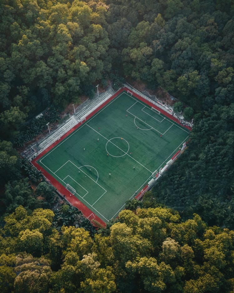 Soccer Pitch In Forest