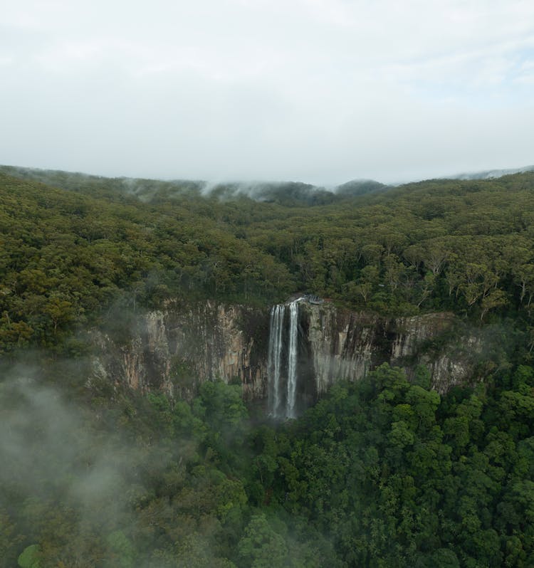 Waterfalls On Rainforest Photo