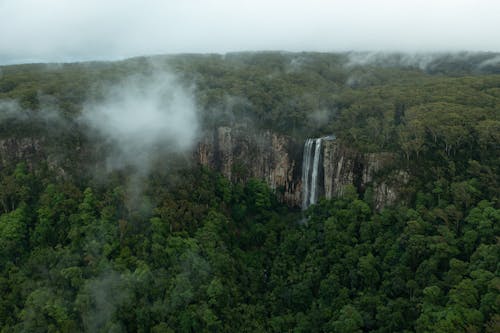 Green Trees on Mountain with Waterfalls