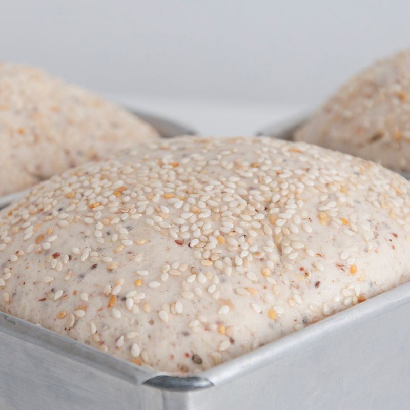 Seeded Whole Grain Flatbread Dough