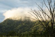 Green Trees on Mountain Under White Clouds