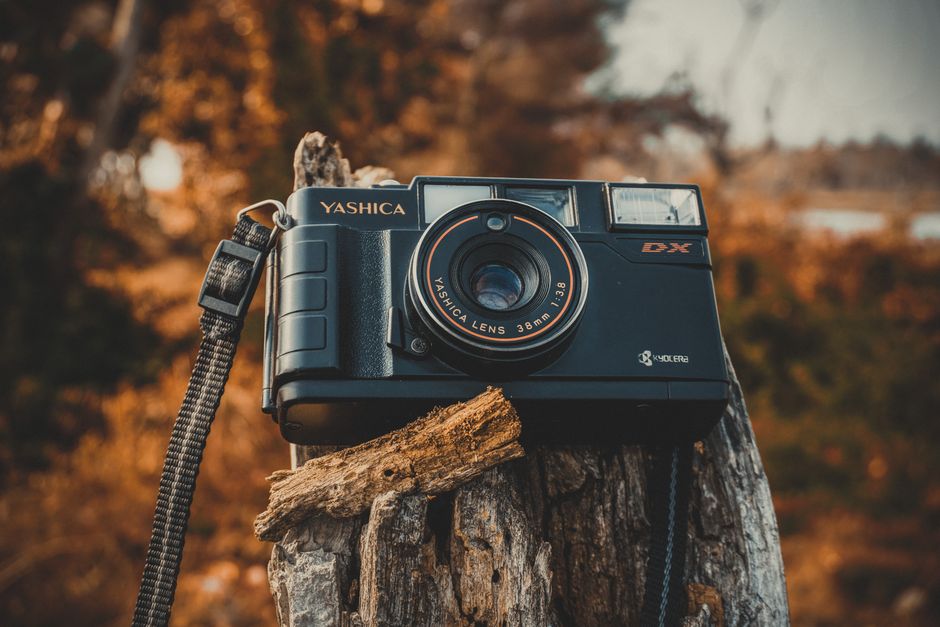 Close-up of a retro camera on a tree stump with a blurred autumn background.