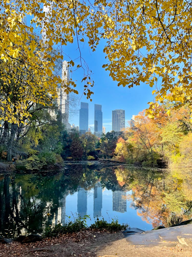 Autumn Trees Reflection On Water Pond