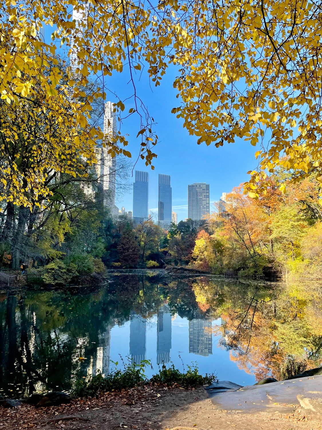 Autumn Trees Reflection on Water Pond · Free Stock Photo