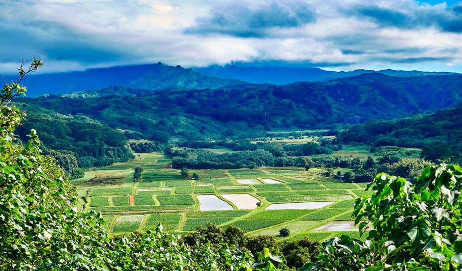 Kauai helicopter tour aerial view