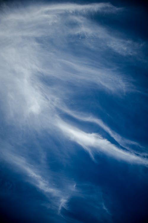 grátis Foto profissional grátis de alto, atmosfera, céu azul Foto profissional