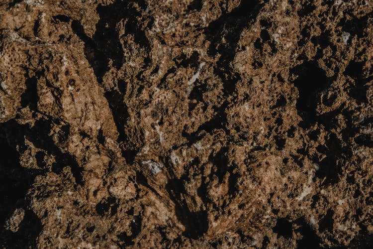 Brown Rough Natural Texture