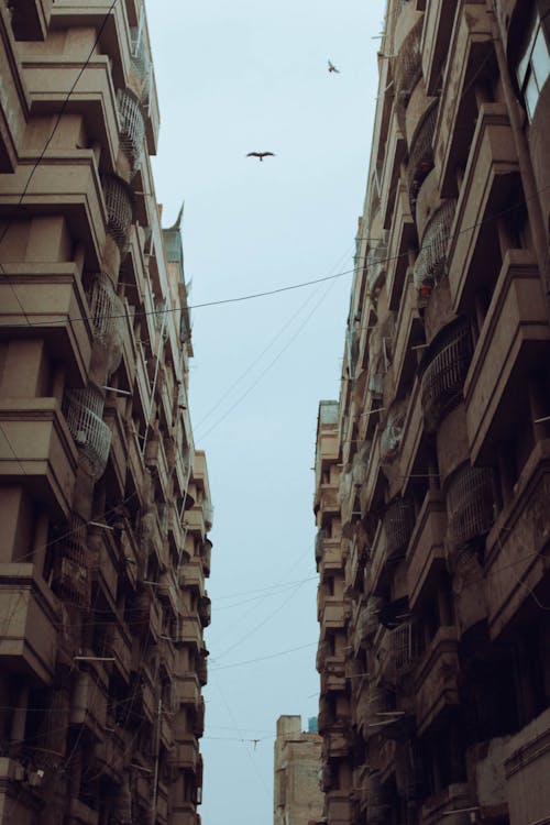 Foto profissional grátis de arquitetura, céu, concreto