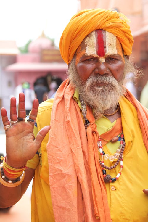 A Portrait of a Hindu Monk