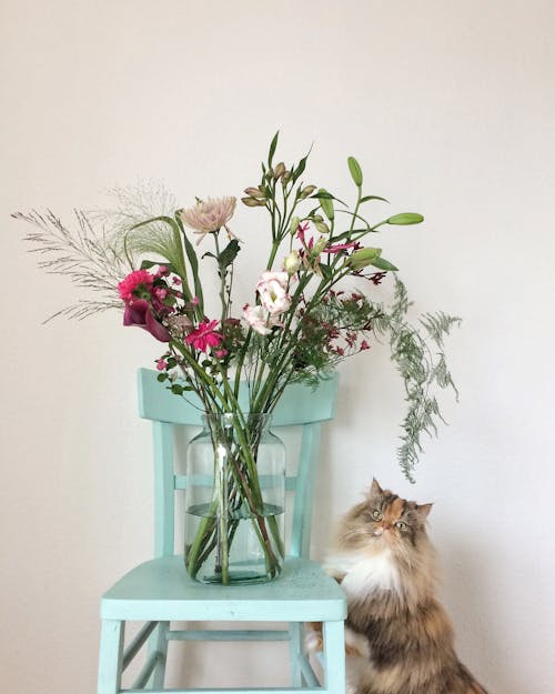 A Bouquet of Flowers in a Glass Vase on Green Chair