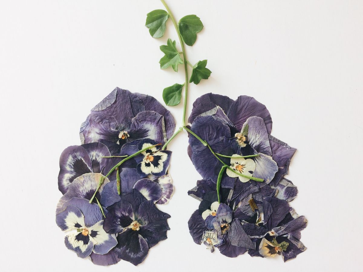 Pressed flowers for resin crafts pendants
