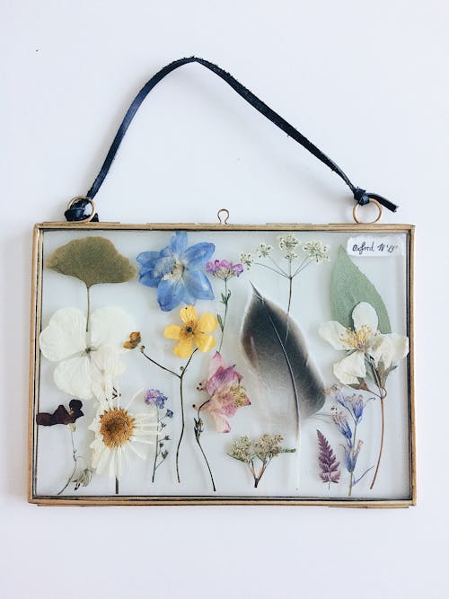 Fotobanka s bezplatnými fotkami na tému kvety, nástenné umenie, stenový dekor