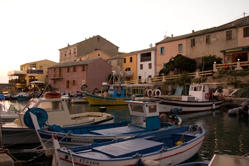 Free stock photo of boats, corsica island, port