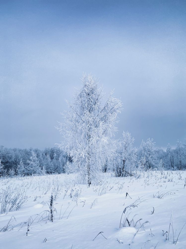 Cold Landscape Photos, Download The BEST Free Cold Landscape Stock ...