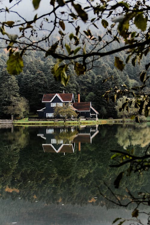 Kostenloses Stock Foto zu bäume, fluss, haus