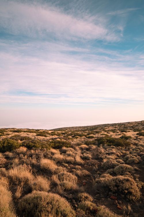 Free Expansive grassland stretching to the horizon under a clear blue sky in calm daylight. Stock Photo