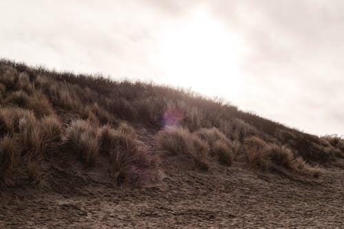 Foto profissional grátis de areia, céu cinza, chão sujo