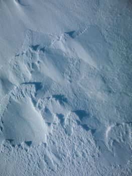 Detailed view of untouched snow surface showcasing natural textures and winter atmosphere.