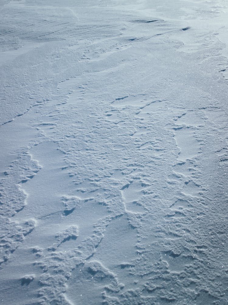 Glittery Snow Covered Ground