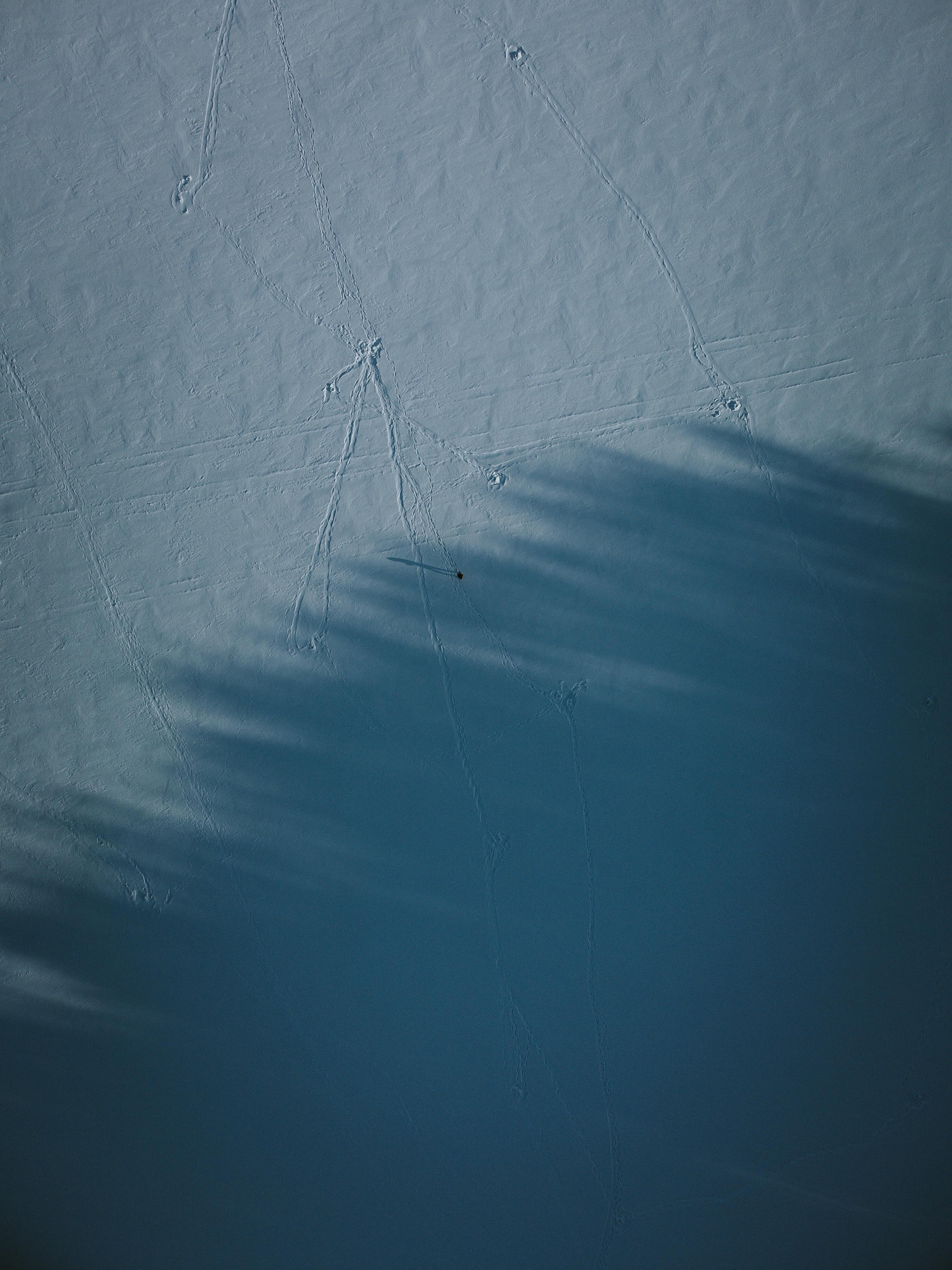 Kostnadsfria Kostnadsfri bild av abstrakt, bakgrundsbelysning, blå Stock foto