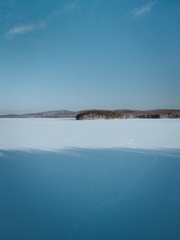 A peaceful snow-covered field with blue skies and distant trees in winter.
