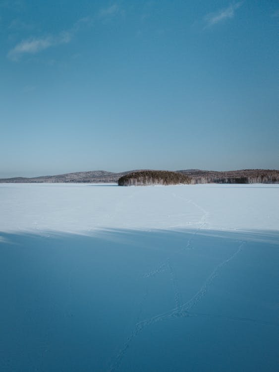 A Snow-Covered Field