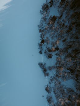 Drone view of snow-covered forest with conifers and frosted trees.