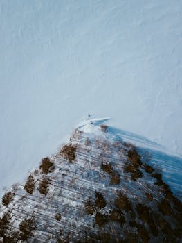 Stunning aerial shot of snowy pine trees creating a triangular pattern in winter.