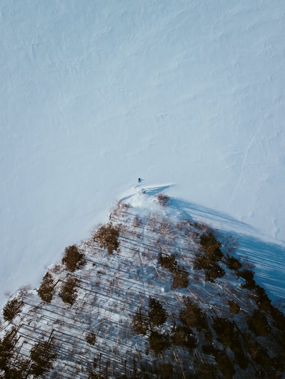 A Snow-Covered Field