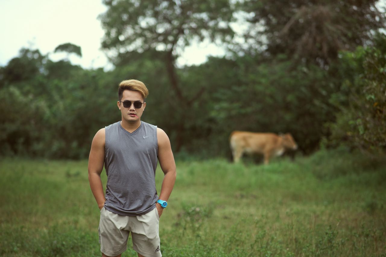 a man in casual clothing stands in a field with a blurred cow in the b