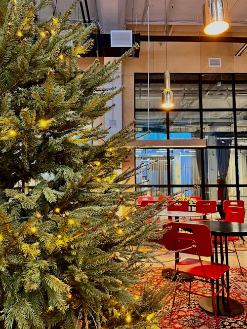 Green Fir Tree beside Red Chairs and Tables 