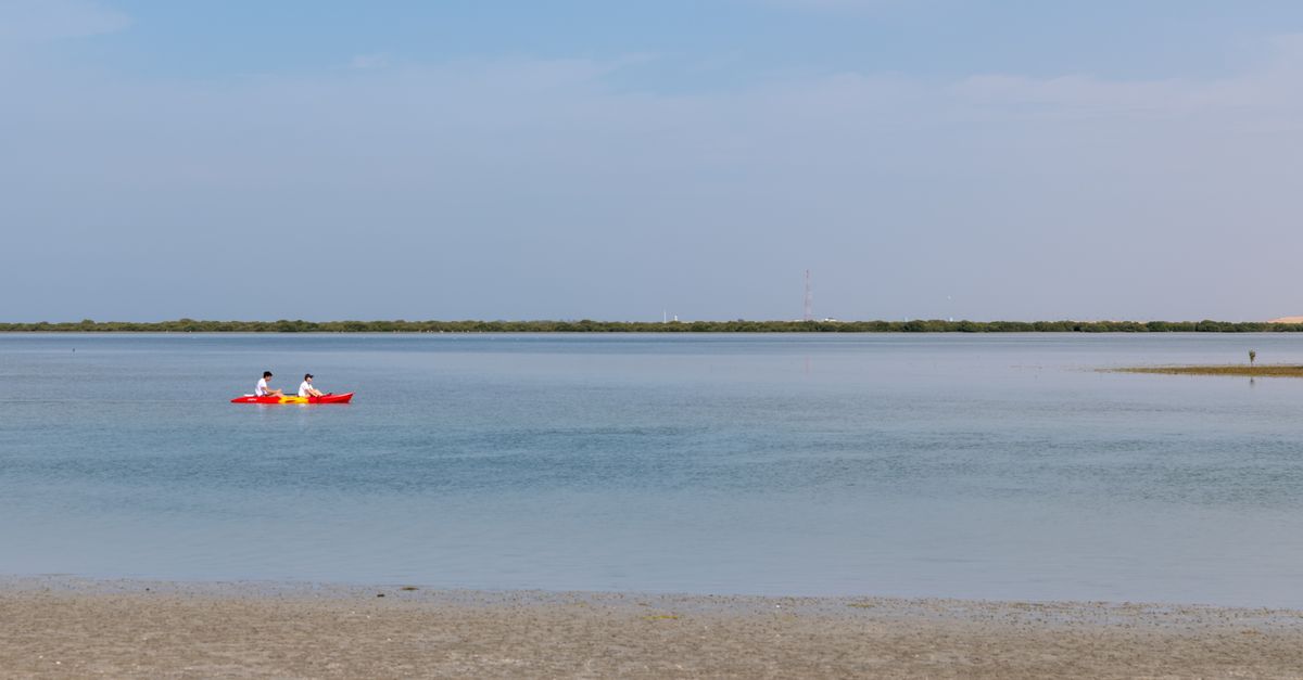 Two kayakers paddle on a calm lake in Umm Al Quwain, UAE, under a clear sky.