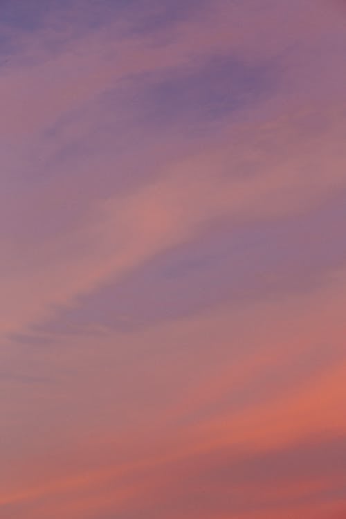 Бесплатное стоковое фото с атмосфера, вертикальный выстрел, восход