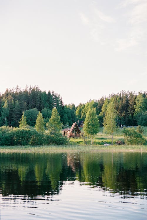 Foto profissional grátis de arvores coníferas, beira do lago, cabana de madeira