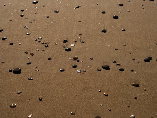 Stones on Wet Fine Sand