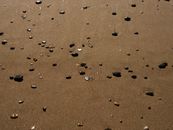Stones on Wet Fine Sand