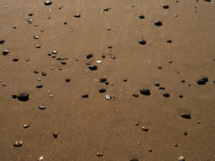 Stones On Wet Fine Sand