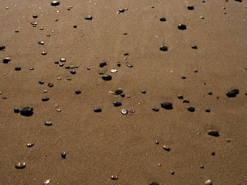 Free Close-up of wet sand scattered with pebbles, capturing natural textures on the seashore. Stock Photo