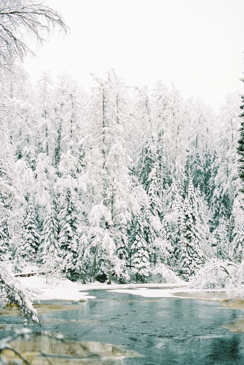 Free A tranquil winter landscape of a snow-covered forest and a partially frozen river. Stock Photo