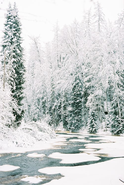 facebook的故事, instagram故事, 冬季 的 免费素材图片