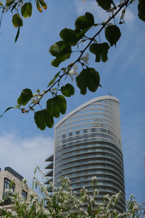 White Concrete Building Under Blue Sky