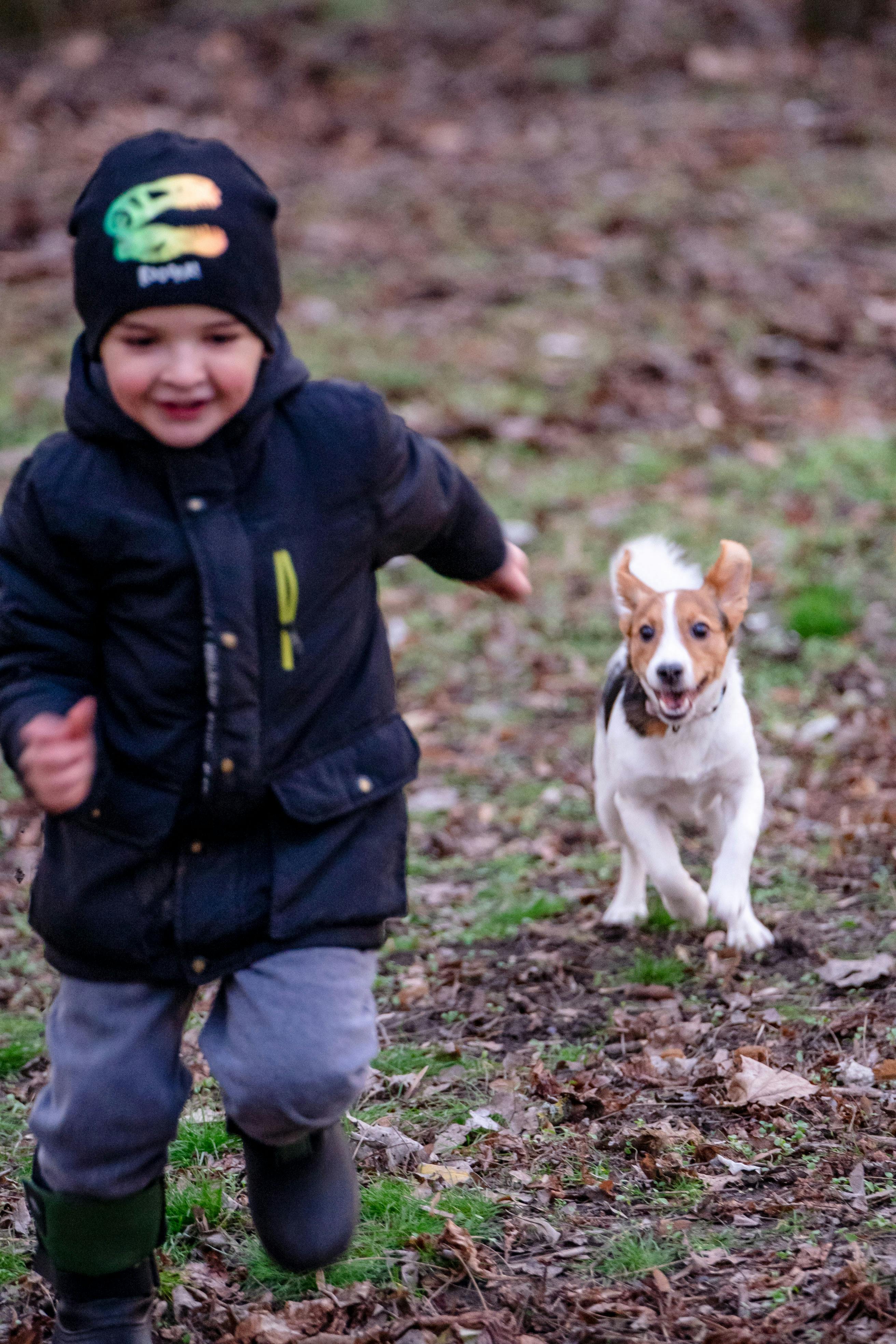 Dog running towards a Young Boy
