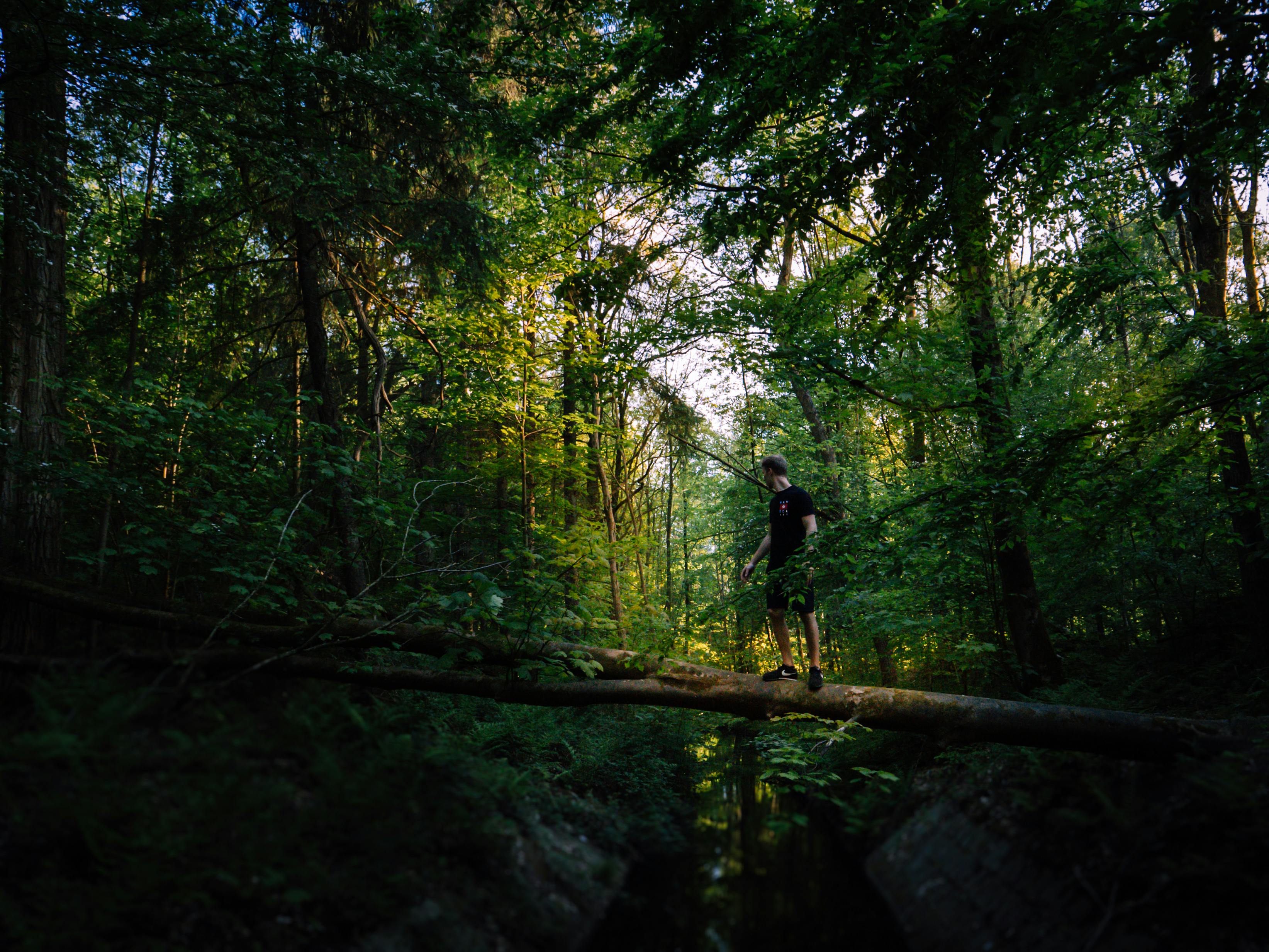 Photo by Bas Masseus