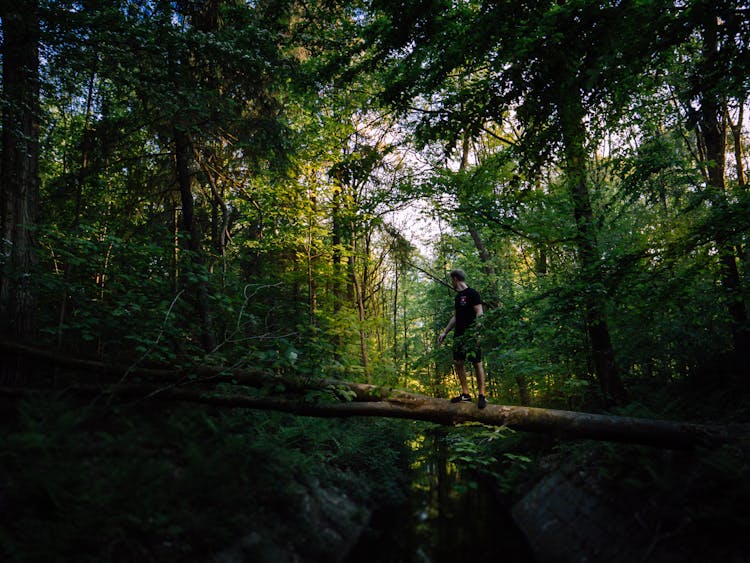 Man On Tree Trunk