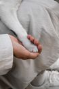 Person Holding White Short Coat Dog