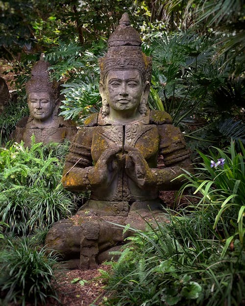 Free Buddha Statue surrounded with Plants  Stock Photo