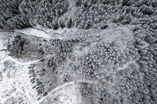 Free Stunning aerial shot of a snow-covered forest landscape in Ilmenau, Germany. Stock Photo