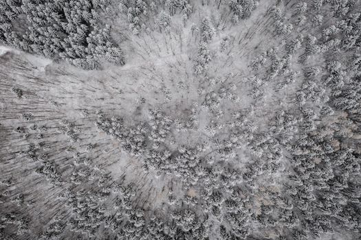 Aerial view of a snow-covered forest in Ilmenau, Germany, capturing the serene winter landscape.