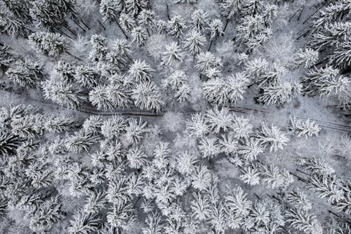 Ilmainen kuvapankkikuva tunnisteilla droonikuva, ilmakuvaus, lumi Kuvapankkikuva